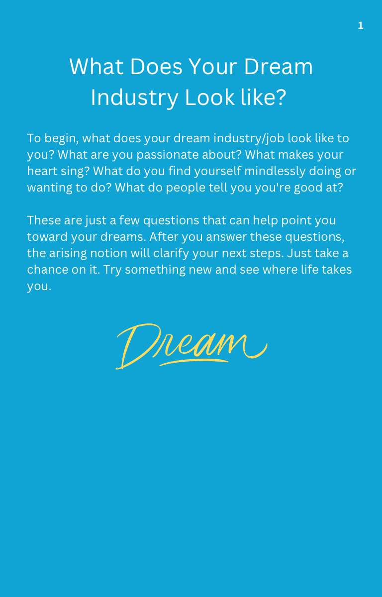 Dream Big - How to be Successful in Your Dream Industry Ebook